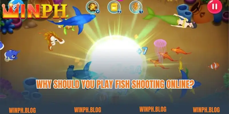 Why should you play fish shooting online? 