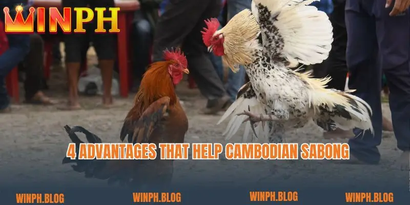 4 advantages that help Cambodian sabong become popular