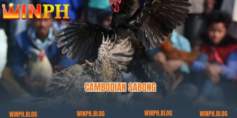 Revealing The Advantages Of Cambodian Sabong Battles