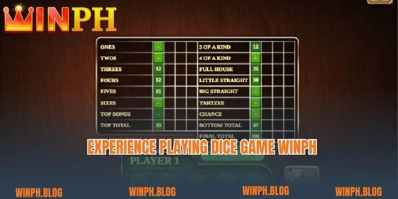 Experience playing Dice Game Winph