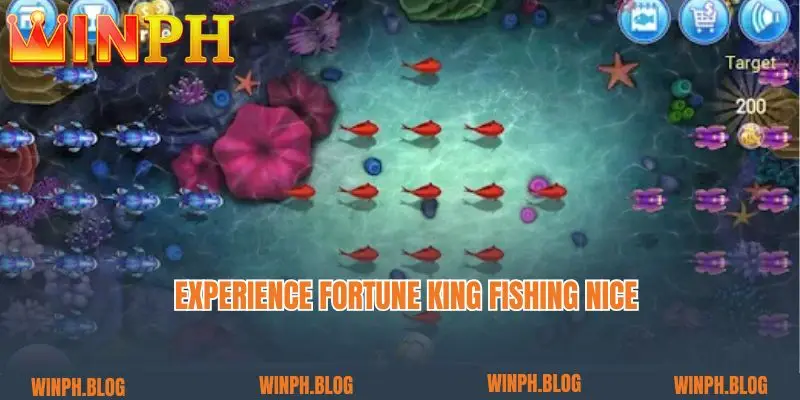 Experience Fortune King Fishing nice 