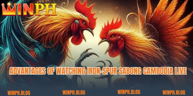 Advantages of watching Iron-spur sabong Cambodia live