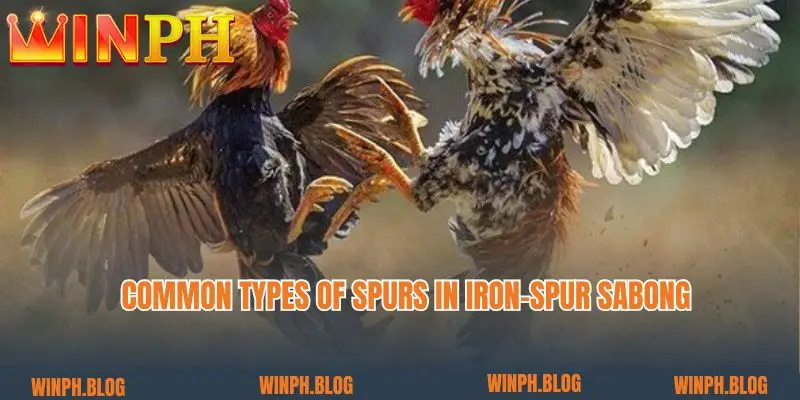 Common types of spurs in Iron-spur sabong