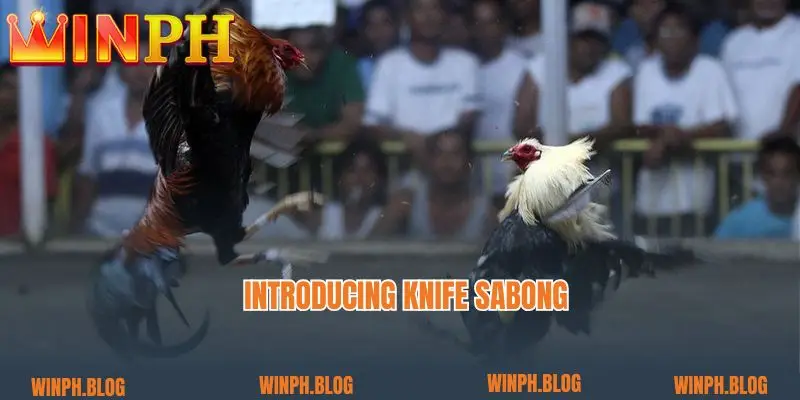 Introducing Knife sabong