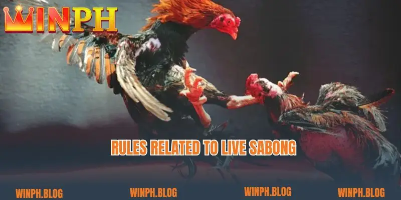 Rules related to Live sabong