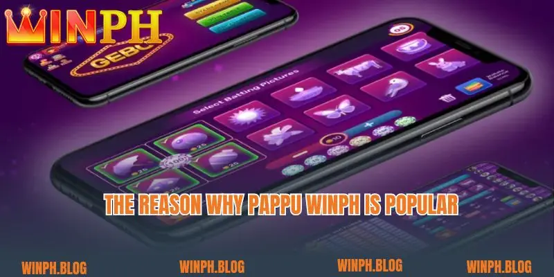 The reason why Pappu Winph is popular 