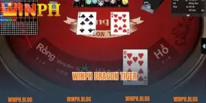 Winph Dragon Tiger – Opportunity to Get Rich for Betting Fans