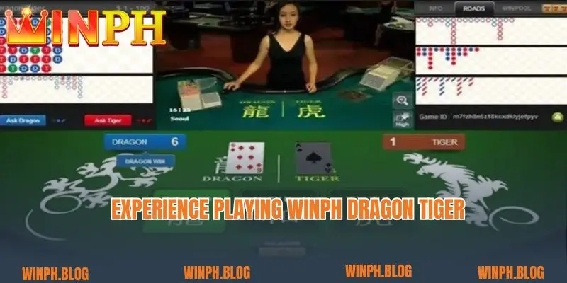 Experience playing Winph Dragon Tiger