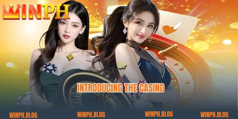 Introducing the casino