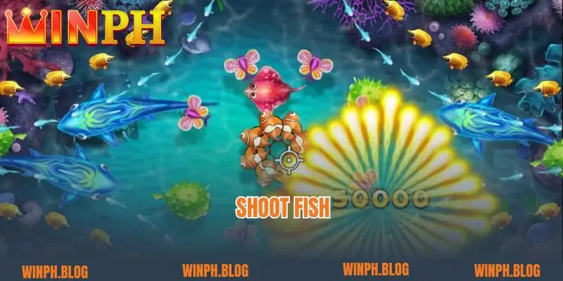 Shoot fish 